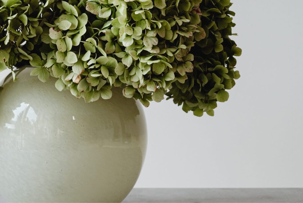 Interior Design Trends 2025: Biophilic Design Interior Design Trends 2025: Biophilic Design