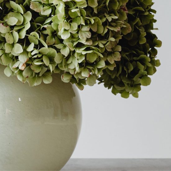 Interior Design Trends 2025: Biophilic Design